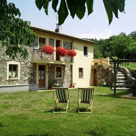 Bed and Breakfast Il Girasole Фоздиново Номер фото