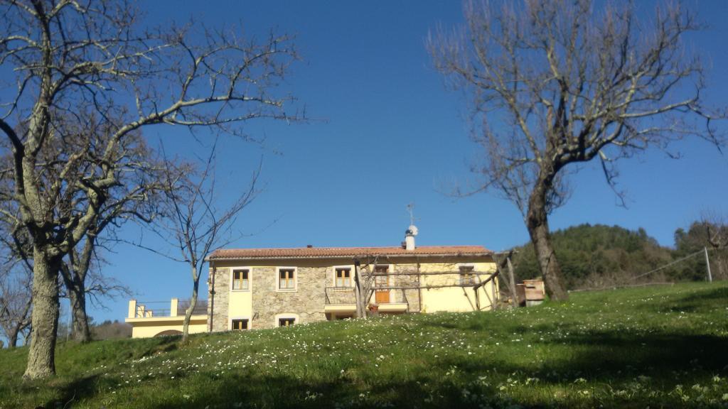 Bed and Breakfast Il Girasole Фоздиново Экстерьер фото